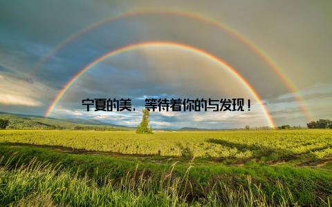 宁夏的美, 等待着你的与发现!