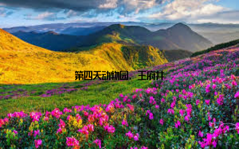 第四天动物园、王府井