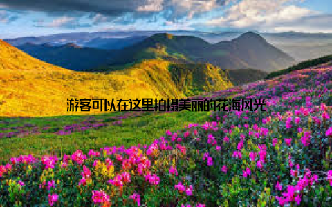 游客可以在这里拍摄美丽的花海风光