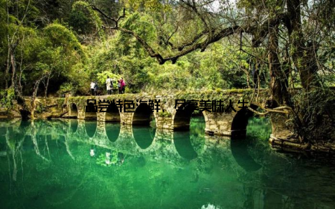 品尝特色海鲜, 尽享美味人生