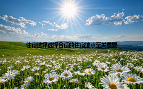 住宿选择选择合适的住宿地点至关重要