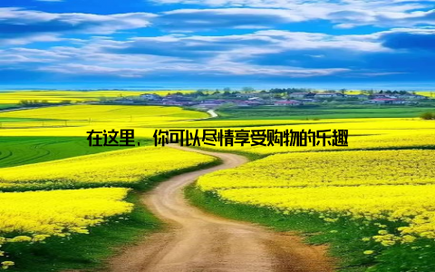 在这里, 你可以尽情享受购物的乐趣