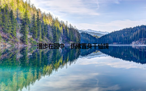 漫步在园中, 仿佛置身于仙境