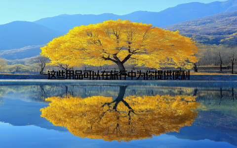 这些用品可以在旅行中为你提供便利