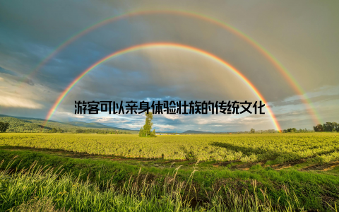 游客可以亲身体验壮族的传统文化