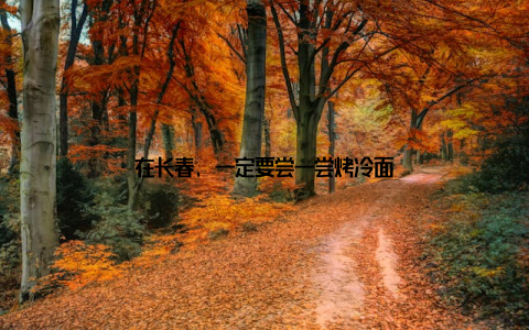 在长春, 一定要尝一尝烤冷面