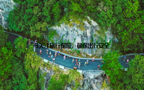 3关注旅行保险, 确保出行安全