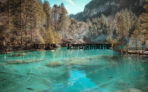 快来这里, 一起感受这份美好吧!