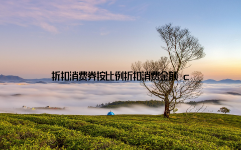 折扣消费券按比例折扣消费金额 c