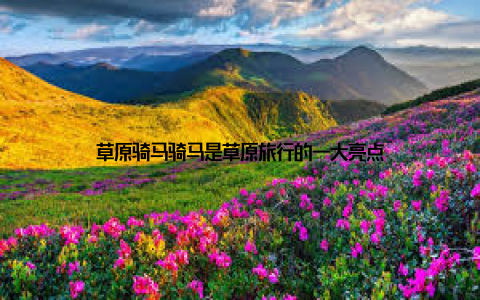 草原骑马骑马是草原旅行的一大亮点