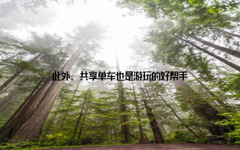 此外, 共享单车也是游玩的好帮手