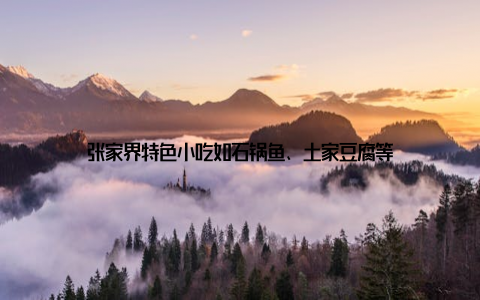 张家界特色小吃如石锅鱼、土家豆腐等