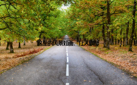 这里的风景如画, 让人陶醉
