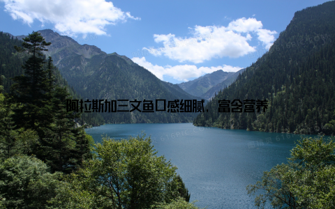 阿拉斯加三文鱼口感细腻, 富含营养