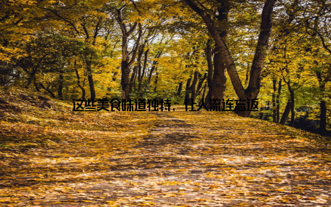 这些美食味道独特, 让人流连忘返