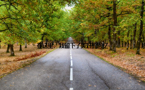 在这里, 我留下了美好的回忆