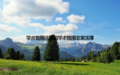学术氛围这里的学术氛围非常浓厚
