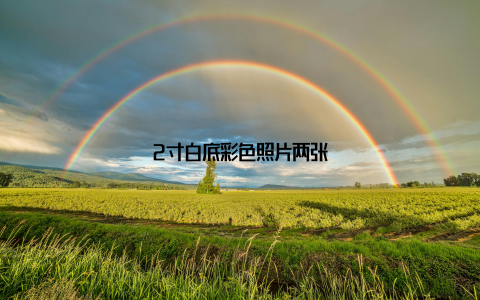 2寸白底彩色照片两张