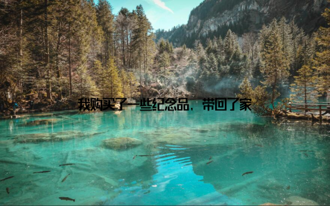 我购买了一些纪念品, 带回了家