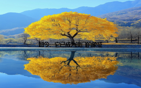 如今, 它已成为澳门的象征
