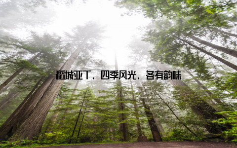 稻城亚丁, 四季风光, 各有韵味