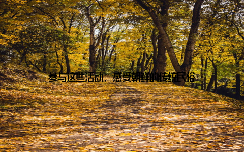 参与这些活动, 感受朝鲜的传统民俗
