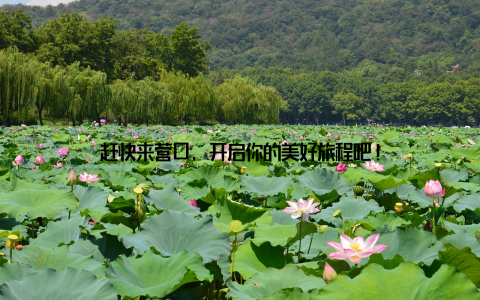 赶快来营口, 开启你的美好旅程吧!