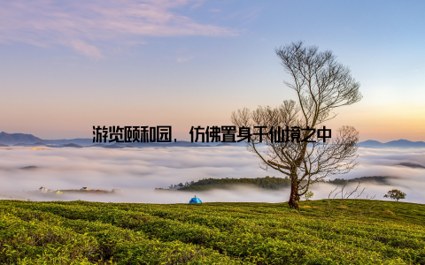 游览颐和园, 仿佛置身于仙境之中