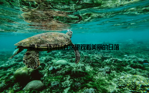 晚上, 还可以在这里观看美丽的日落