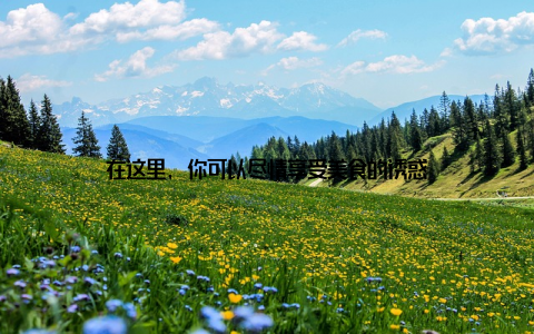 在这里, 你可以尽情享受美食的诱惑