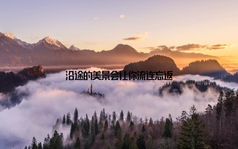 沿途的美景会让你流连忘返