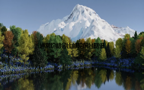 通常价格会比邮轮前台略低