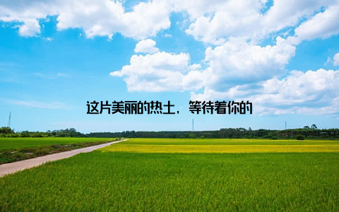这片美丽的热土, 等待着你的