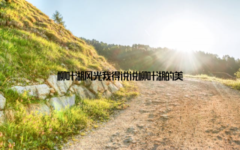 柳叶湖风光我得说说柳叶湖的美