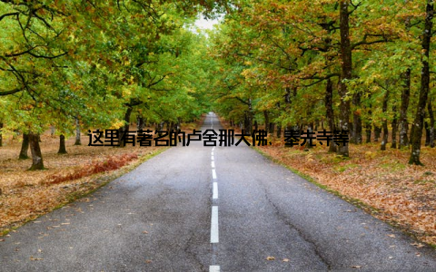 这里有著名的卢舍那大佛、奉先寺等