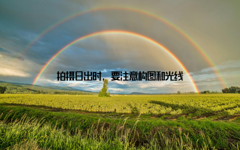拍摄日出时, 要注意构图和光线