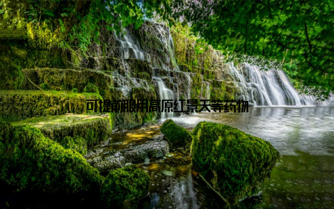 可提前服用高原红景天等药物