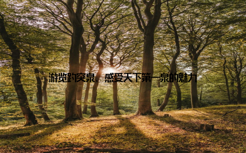游览趵突泉, 感受天下第一泉的魅力