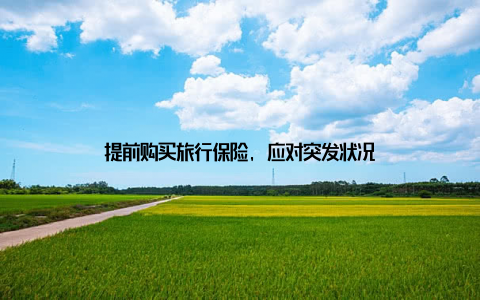 提前购买旅行保险, 应对突发状况