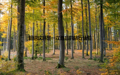 相信这将是一次难忘的旅行体验