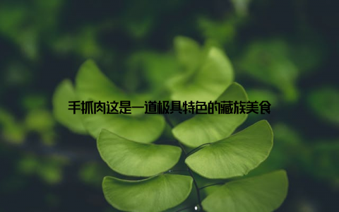手抓肉这是一道极具特色的藏族美食
