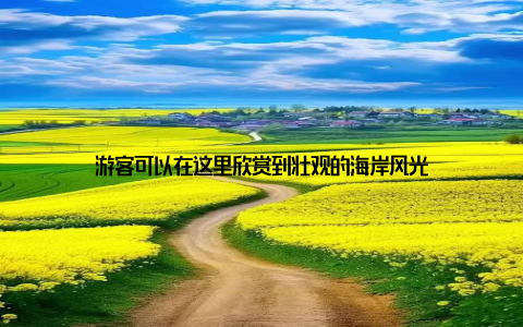 游客可以在这里欣赏到壮观的海岸风光