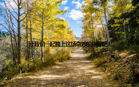让我们一起踏上这场奇妙的旅程吧!