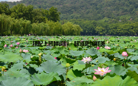 搭配上各种调料, 味道更加鲜美