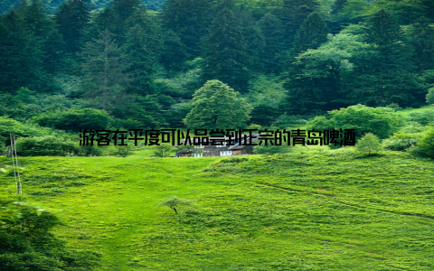 游客在平度可以品尝到正宗的青岛啤酒