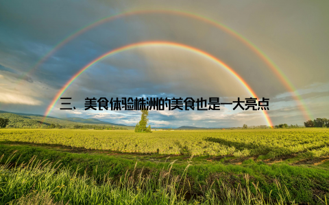 三、美食体验株洲的美食也是一大亮点
