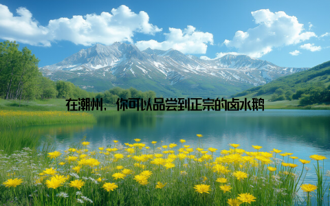 在潮州, 你可以品尝到正宗的卤水鹅