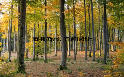 渡轮班次较多, 方便游客出行