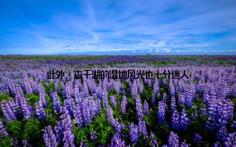 此外, 查干湖的湿地风光也十分迷人