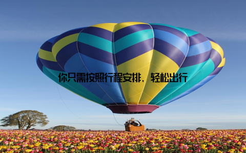 你只需按照行程安排, 轻松出行